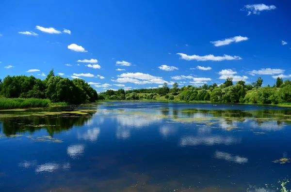 Descanse en el lago en verano Fotos de stock libres de derechos