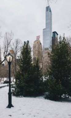 Manzarası içinde Central Park, New York City, Amerika Birleşik Devletleri