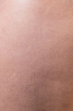 Makro insan bacak deri desen doku hücreleri ve satırları ile.