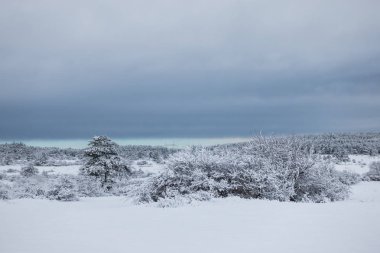 Karla kaplı ağaçlarla kaplı güzel kış manzarası.