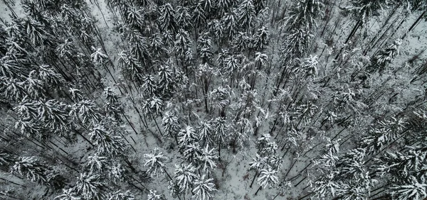 Aerial view of winter snow covered forest landscape. Drone photography collection. — Stock Photo, Image