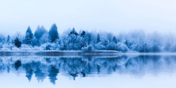 Morgonen reflektioner vid sjön iced. — Stockfoto