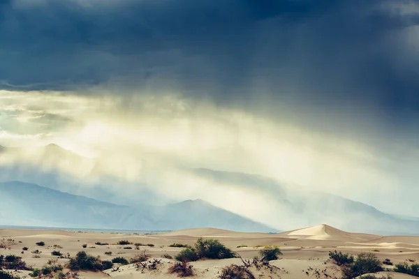 Mesquite Dunas Arena Death Valley Durante Tormenta Arena Atardecer California — Foto de Stock