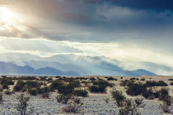 Mesquite Sand Dunes Death Valley Sand Storm Sunset California Usa — Stock Photo, Image