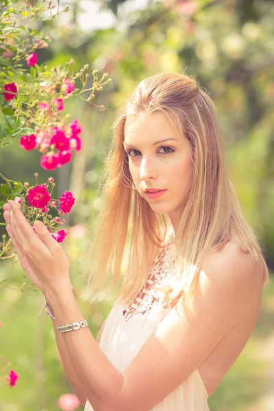 Mujer Rubia Sonriente Posando Cerca Arbusto Rosas Perras —  Fotos de Stock