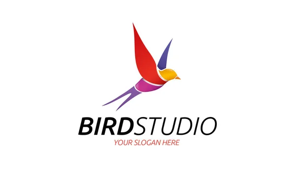 Bird Studio Logo Template — Stock Vector