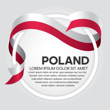 Dekoratif Polonya bayrağı. Vektör geçmişi