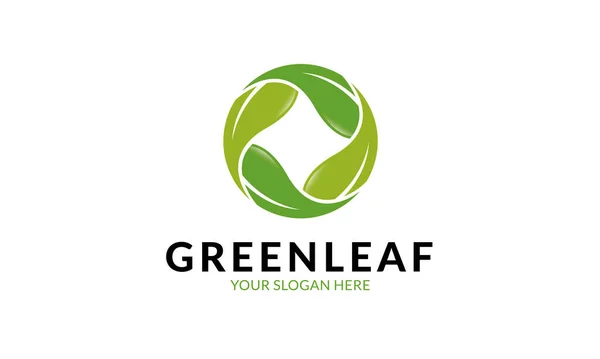 Green Leaf Logo Template Minimalist Modern Logo Template — Stock Vector