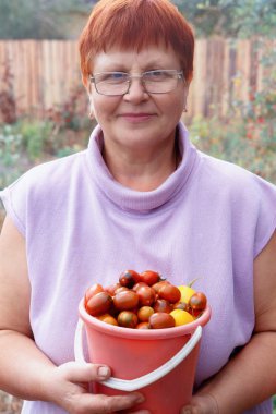 sebze hasat ile mutlu olgun kadın
