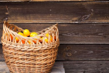 Organik nadir taze renkli hatıra domates bir fitil aldı