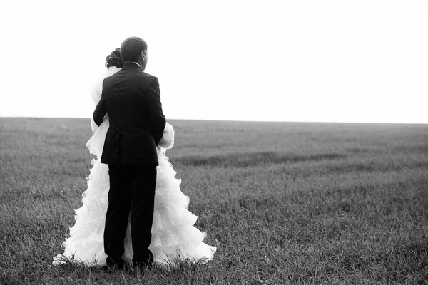 Bruid en bruidegom staan in een veld foto van achteren. Zwart een — Stockfoto