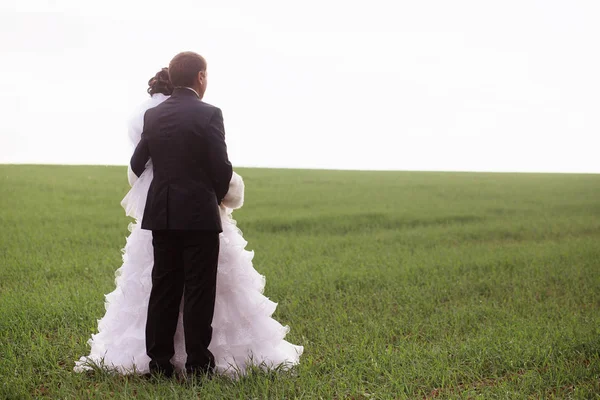 Bruid en bruidegom staan in een veld foto van achteren. — Stockfoto