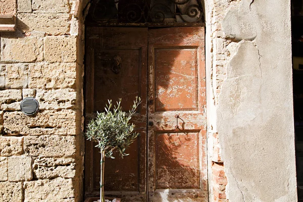 stock image old door in italy land europe architecture and wood the historic