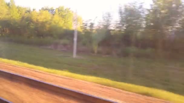 Paisaje de vías férreas y bosque visto desde la ventana del tren en movimiento — Vídeos de Stock