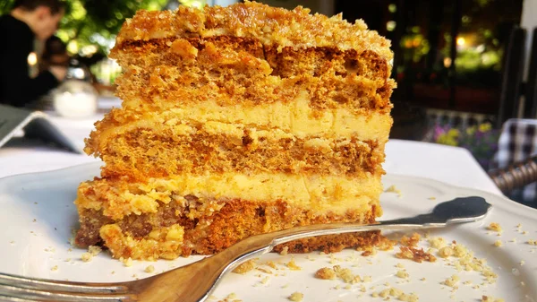 Slice of delicious honey cake on white plate — Stock Photo, Image