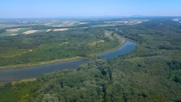 rivière, routes et forêt vue de la fenêtre de l'avion 