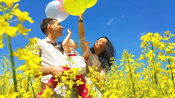 Familia con globos de colores en el campo amarillo —  Fotos de Stock