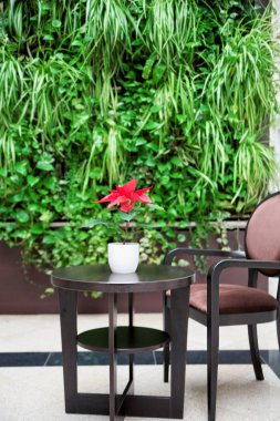 Masanın üzerine çiçek Atatürk çiçeği ile pota