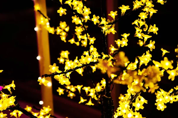 Noche de invierno en el parque. Guirnaldas amarillas y moradas en los árboles —  Fotos de Stock