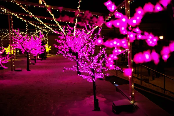 Paseo de la ciudad por la noche en invierno. Callejón con luces, árboles, guirnaldas —  Fotos de Stock