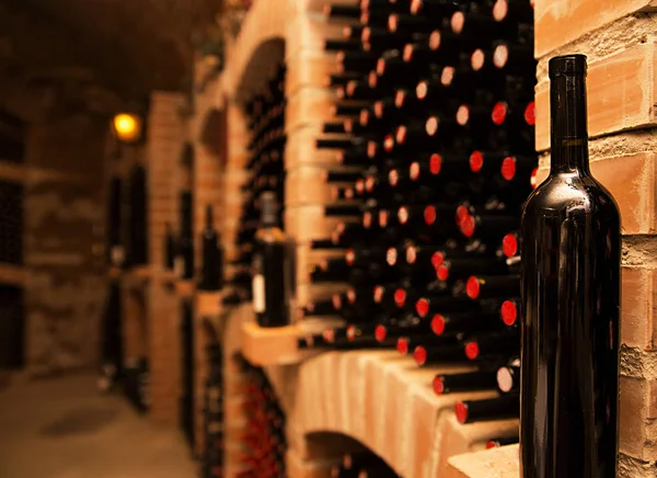 Bodrum, masada şarap sunumu için depolanacağı ambar