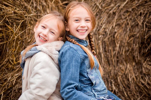 Deux sœurs, copines posant sur fond de foin — Photo