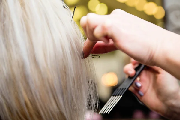 Cabeleireiro mantém uma fechadura de cabelo — Fotografia de Stock