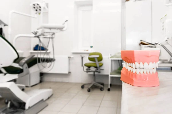 Modello in plastica dei denti sullo sfondo dello studio dentistico — Foto Stock