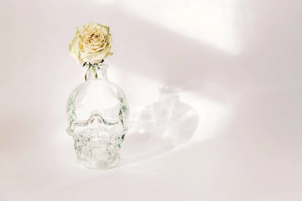 Стеклянный графин в форме черепа человека с высохшей розой стоит на белом фоне — стоковое фото