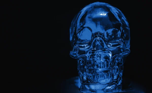 Glass skull backlit with blue light on a black background