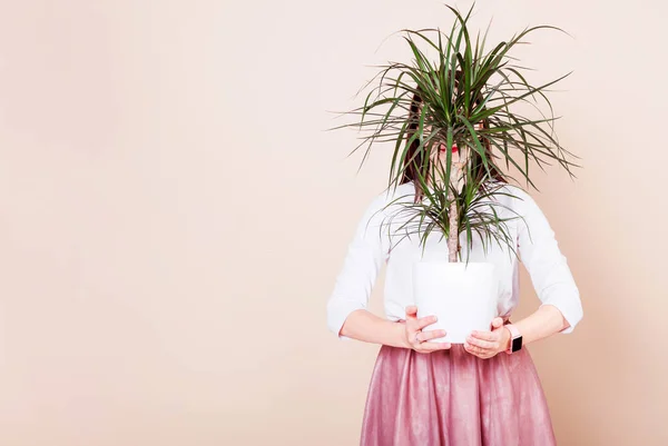 Against the background of milky coffee color, the girl is holding a potted plant in her hands. Girl's face is covered by a plant — Stock Photo, Image