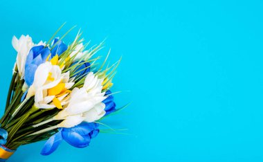 Mavi arka planda beyaz, sarı ve mavi çiçekli yapay buket. Üst görünüm