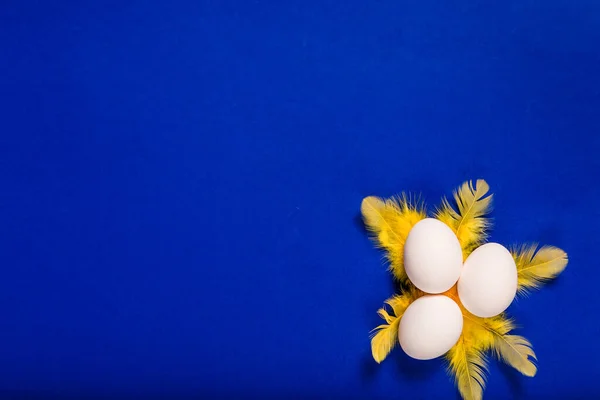 Huevos Pollo Blancos Plumas Amarillas Sobre Fondo Azul Vista Superior —  Fotos de Stock