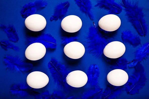 Huevos Plumas Pollo Blanco Sobre Fondo Color Azul Oscuro Vista —  Fotos de Stock