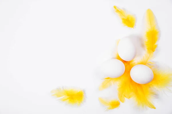 Huevos Pollo Blancos Plumas Amarillas Sobre Fondo Blanco Fotografía Horizontal —  Fotos de Stock