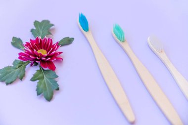 Mor arka planda üç bambu fırçası ve dekor olarak da bir çiçek tomurcuğu. Üst görünüm