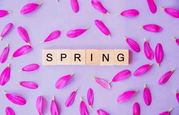 Das Wort Frühling Besteht Aus Holzklötzen Und Blütenblättern Auf Violettem — Stockfoto