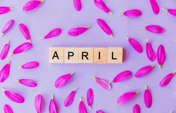 Word April Made Wooden Blocks Flower Petals Purple Background Top — Stock Photo, Image