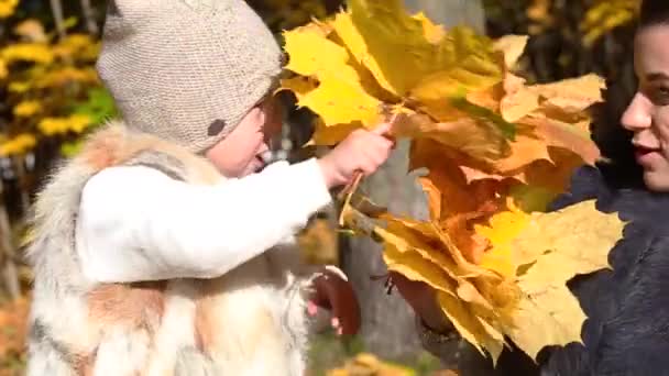 Mamá Hija Divierten Parque Otoño Tienen Ramos Hojas Amarillas Sus — Vídeos de Stock