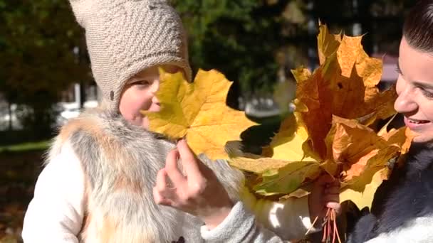 Máma Dcera Baví Podzimním Parku Drží Rukou Kytice Žlutých Listů — Stock video