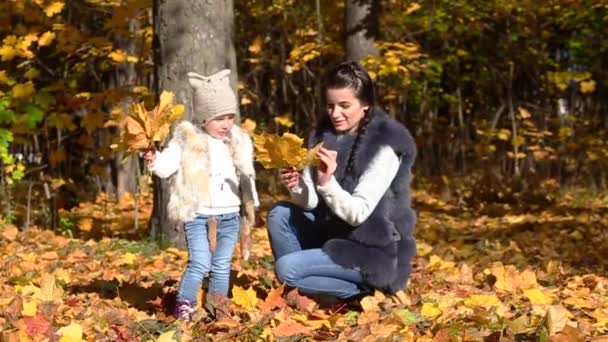 Maman et fille ramassent des feuilles dans le parc d'automne. Vidéo au ralenti 