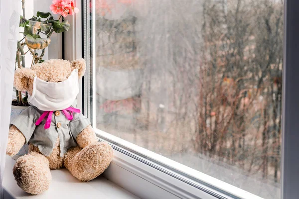 Bear Toy White Face Mask Looking Out Window Self Isolation — Stock Photo, Image