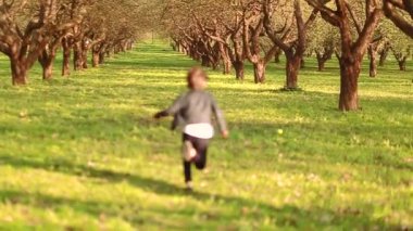 Mutlu bir çocuk elma bahçesinin etrafında koşar ve güzel güneşli havada elmayla oynar. Yavaş çekim videosu
