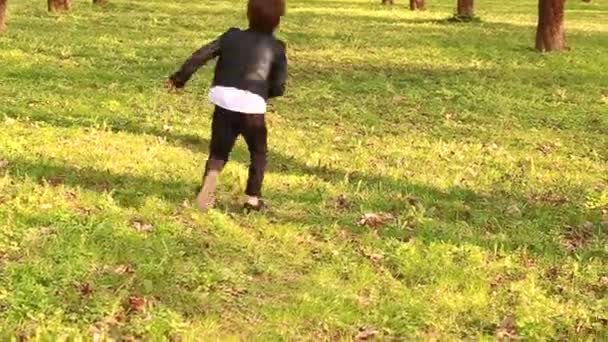 Niño Feliz Corre Alrededor Del Huerto Manzanas Juega Con Manzana — Vídeo de stock