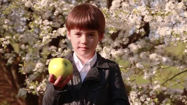 庭の開花木の背景に小さな男の子が立って カメラを見て 川の緑のリンゴを渦巻く スローモーションビデオ — ストック動画