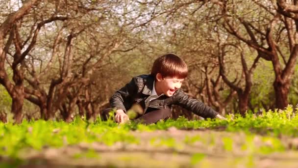 一个小男孩坐在苹果园的地上 把一个绿色的苹果滚到摄像机前 慢动作视频 — 图库视频影像