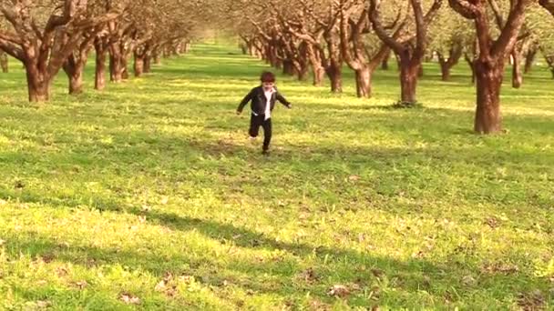 Liten Hederlig Pojke Springer Gladeligen Genom Äppelträdgården Långsam Rörelse Video — Stockvideo