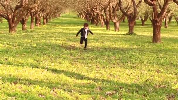 Pequeño Chico Moda Corre Felizmente Por Huerto Manzanas Vídeo Cámara — Vídeos de Stock