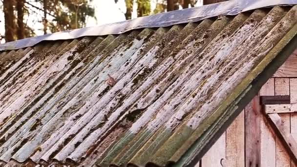 Pomme Verte Roule Sur Toit Une Vieille Maison Village Vidéo — Video