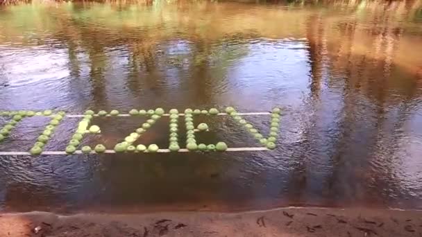 緑のリンゴの碑文が川に沿って浮かんでいる スローモーションビデオ — ストック動画